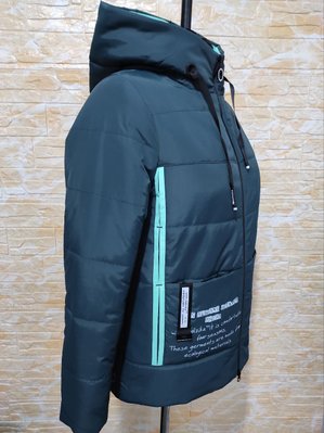 демісезонна жіноча куртка модель дн-3 дн-3 фото