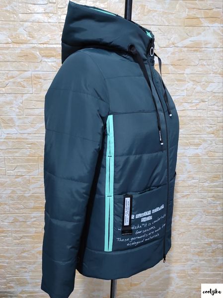 демісезонна жіноча куртка модель дн-3 дн-3 фото