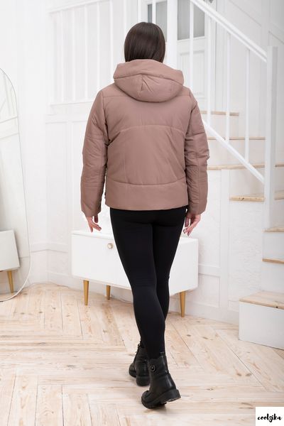 Демісезонна жіноча куртка модель дн-10 дн-10 фото