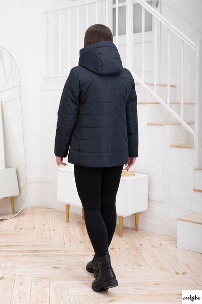 куртка жіноча демісезонна модель дн-6 дн-6 фото